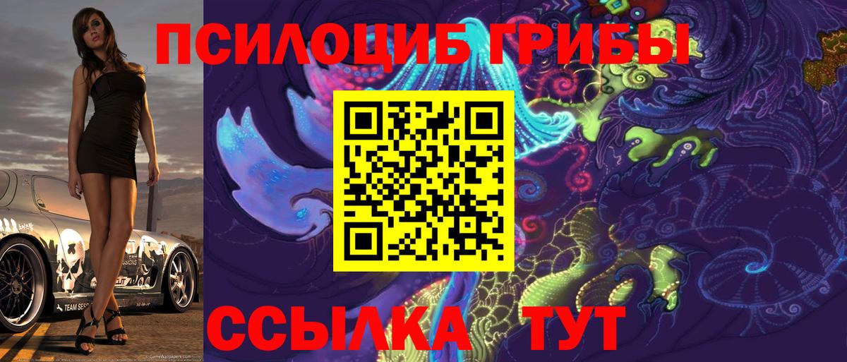 Томск  Псилоцибиновые грибы ЛСД  Вход с VPN 