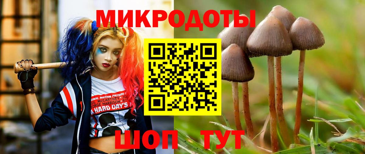 Псилоцибиновые грибы ЛСД Томск